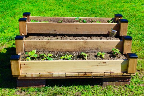Raised Garden Bed Installation in Brownsville