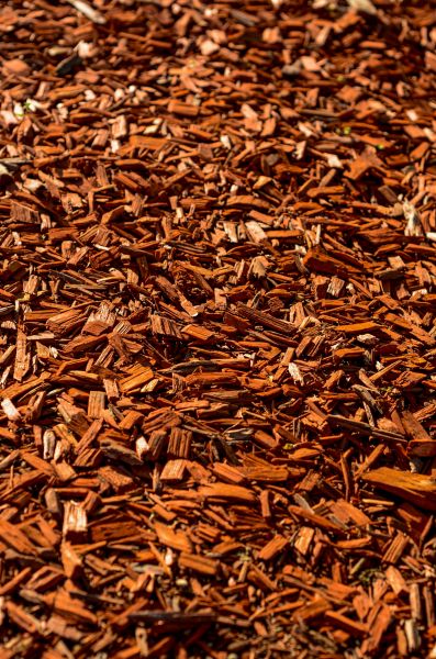 Cedar Mulch Spreading in Brownsville