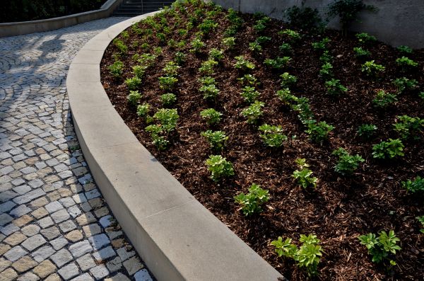 Commercial Mulching in Brownsville